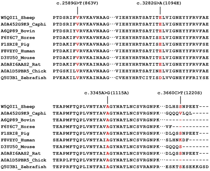 FIGURE 4