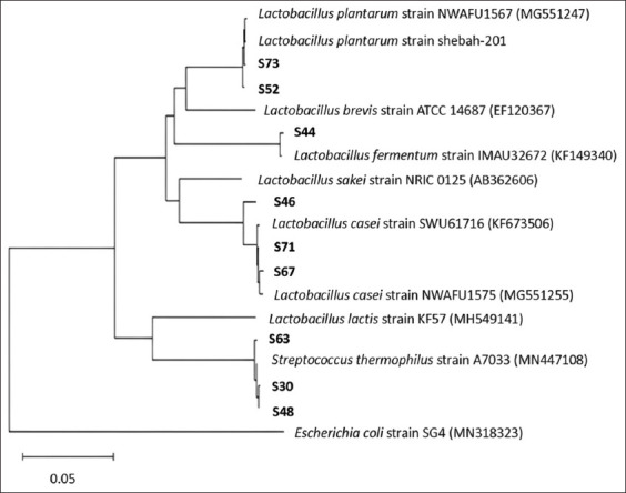 Figure 5