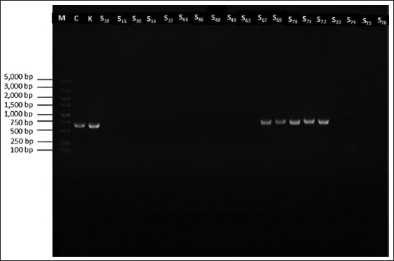 Figure 6