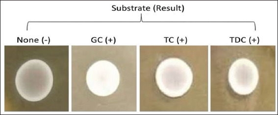Figure 8