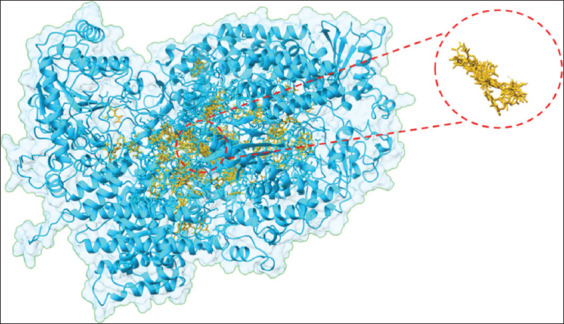 Figure 9