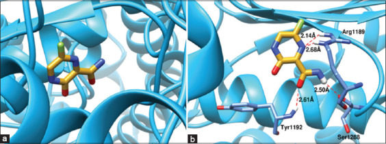 Figure 10