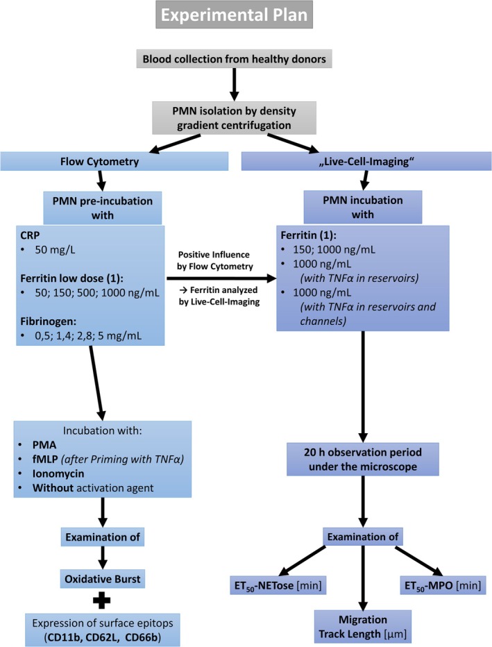 FIGURE 1