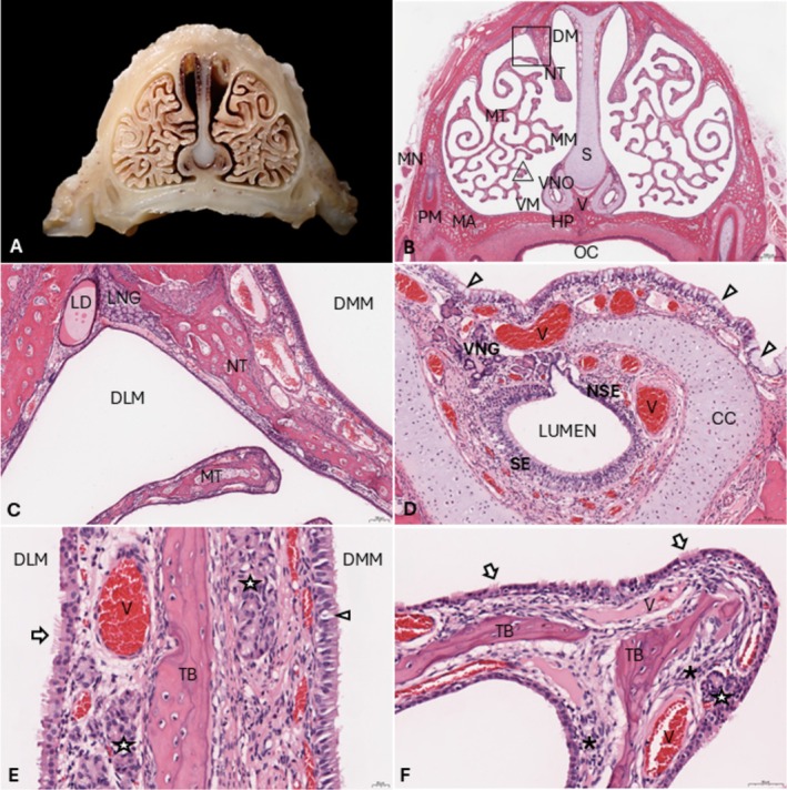 FIGURE 3