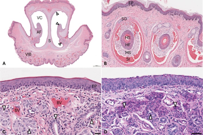 FIGURE 2