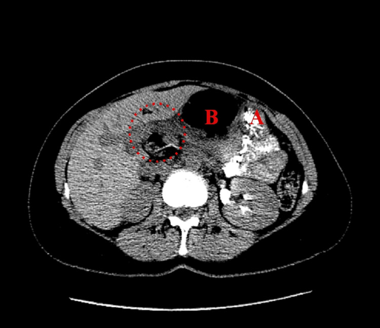 Figure 7