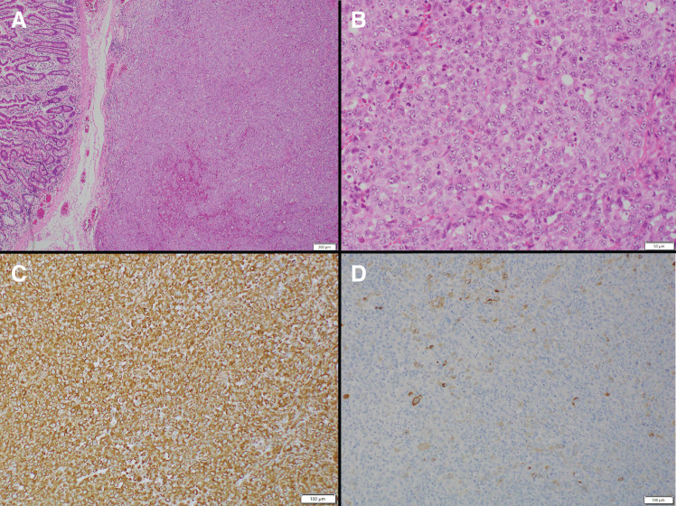 Fig. 6