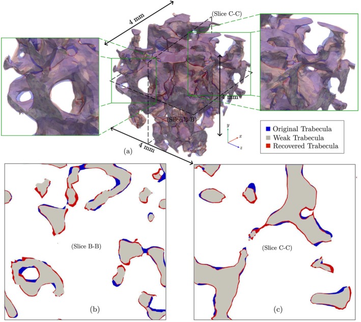FIGURE 15