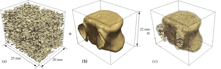 FIGURE 20