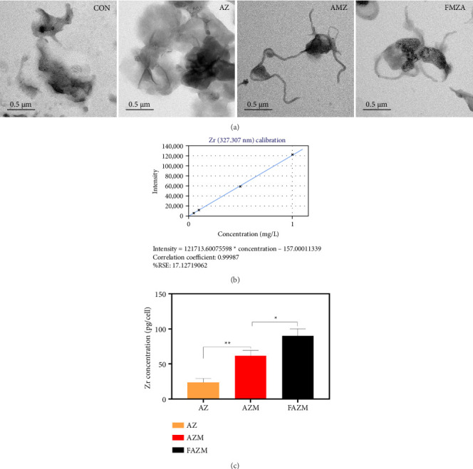 Figure 12