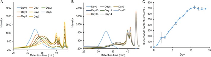 FIGURE 4