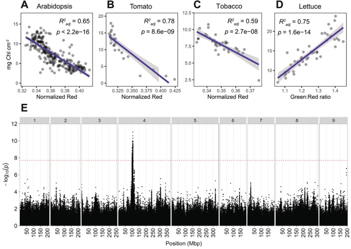 FIGURE 2