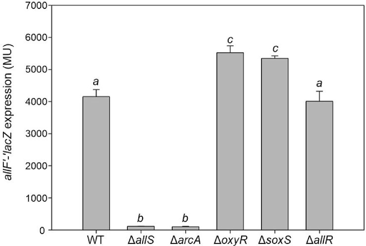Figure 4