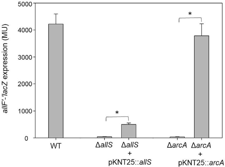 Figure 5