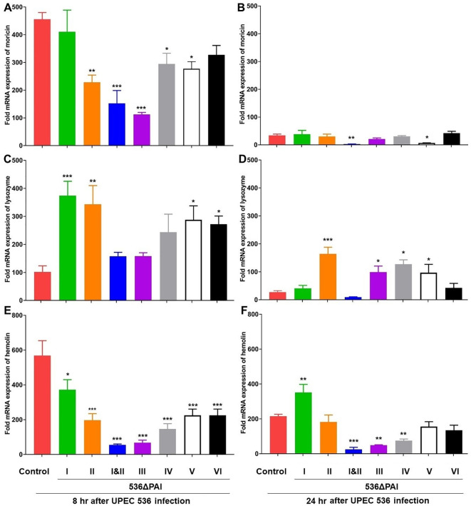 Figure 5