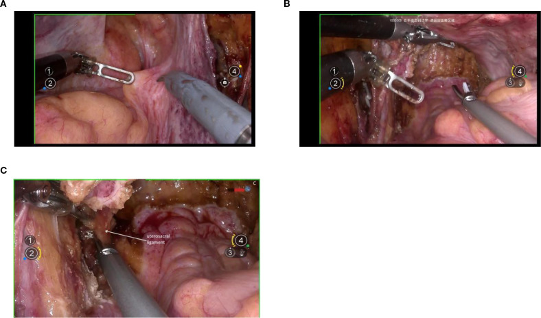 Figure 5