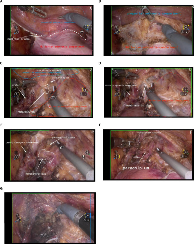 Figure 6