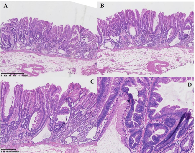 Figure 3