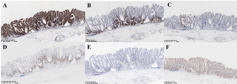 Figure 4