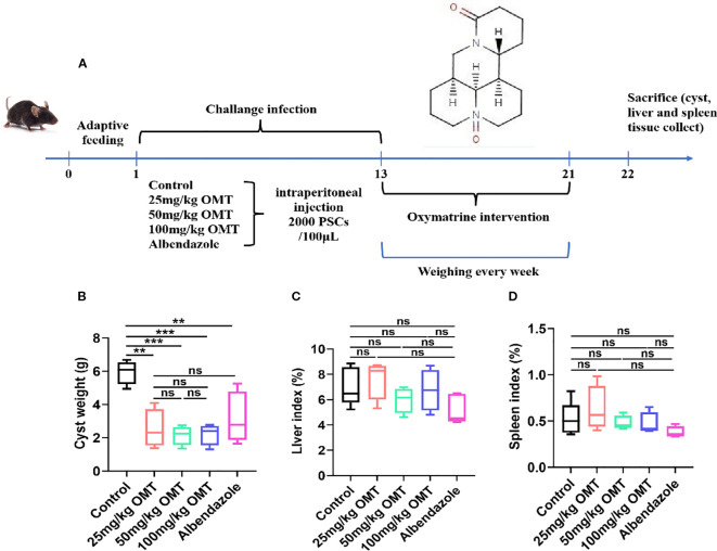 Figure 2