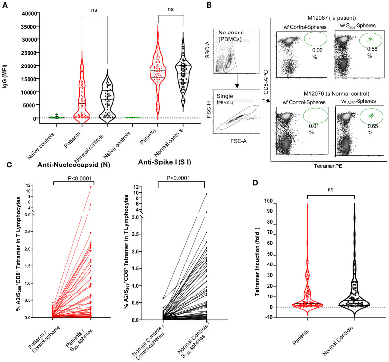 Figure 2
