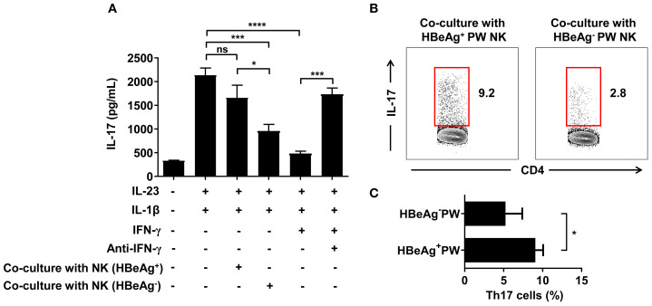 Figure 7