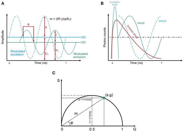 Figure 2
