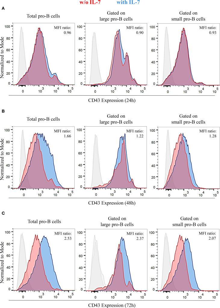 Figure 4