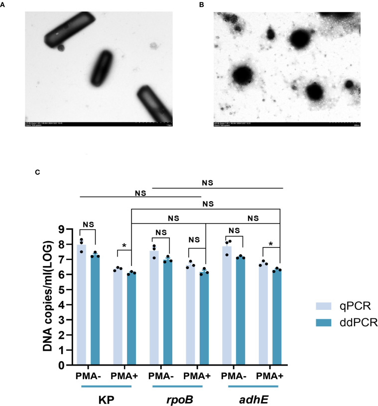 Figure 2