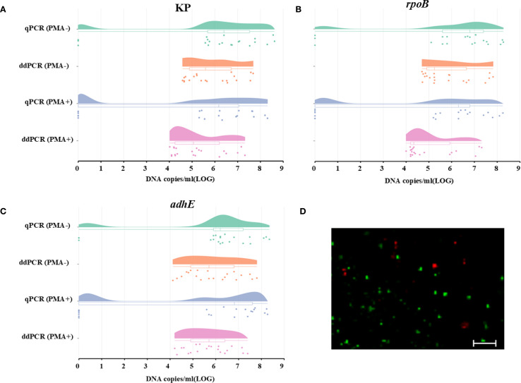 Figure 4