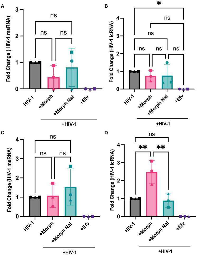 Figure 6