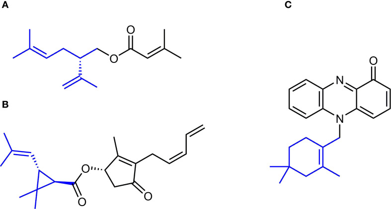 Figure 1