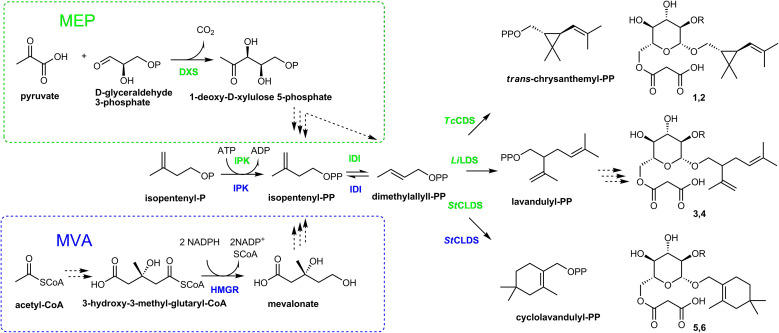 Figure 2