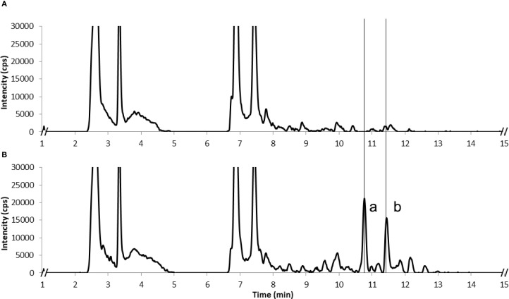 Figure 3