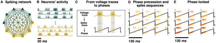 Figure 13