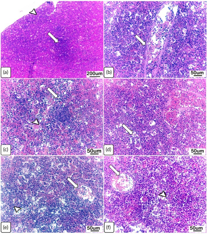 FIGURE 3