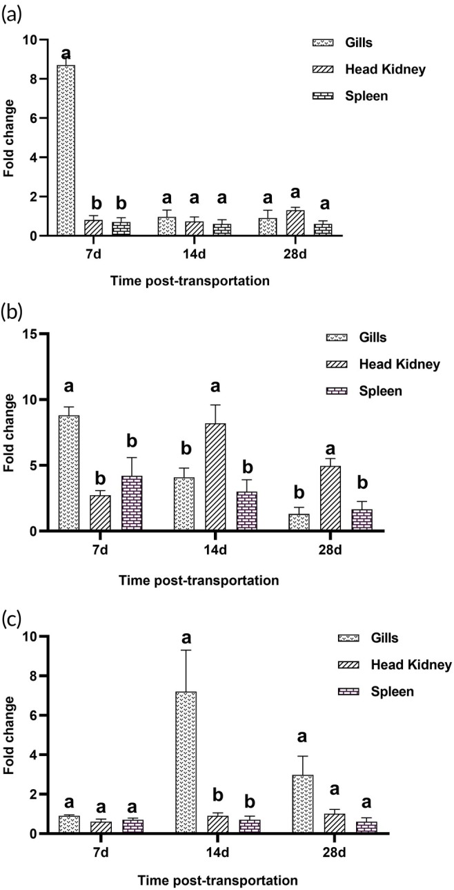 FIGURE 2