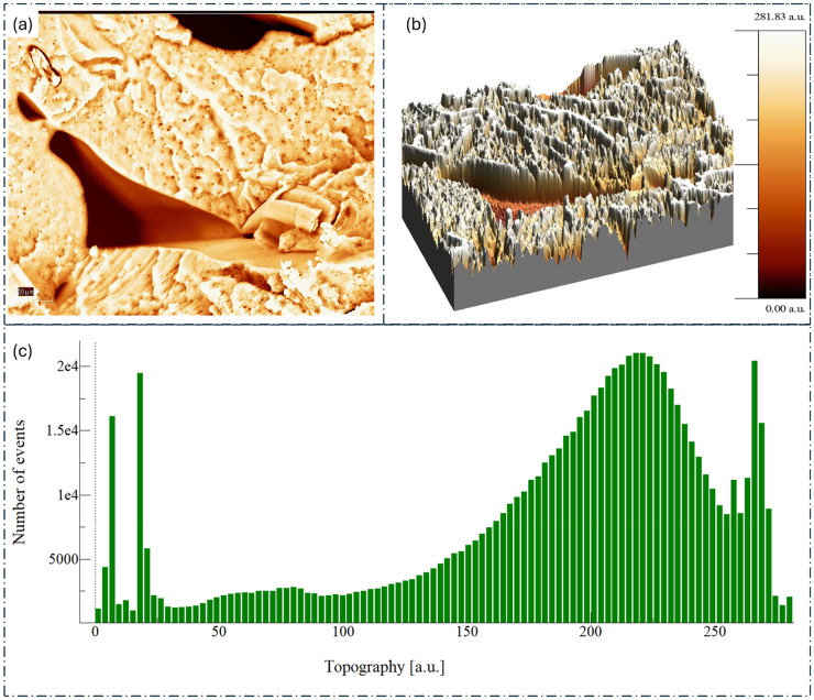 Figure 10