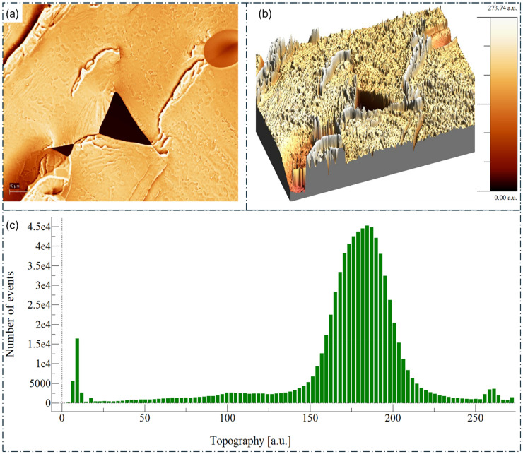 Figure 9