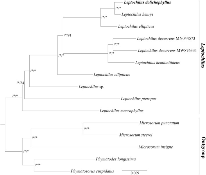 FIGURE 3