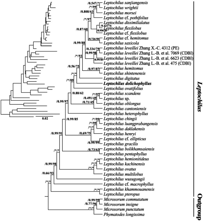 FIGURE 2