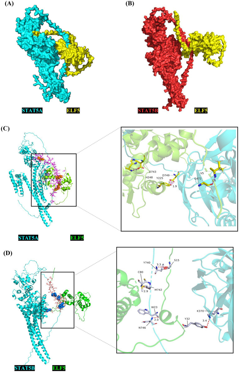 Figure 5