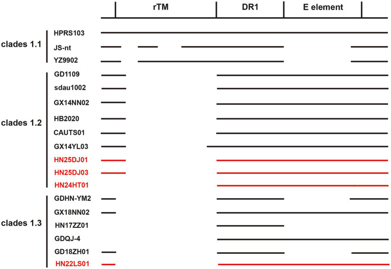 Figure 5