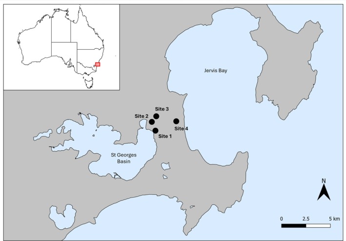 FIGURE 2