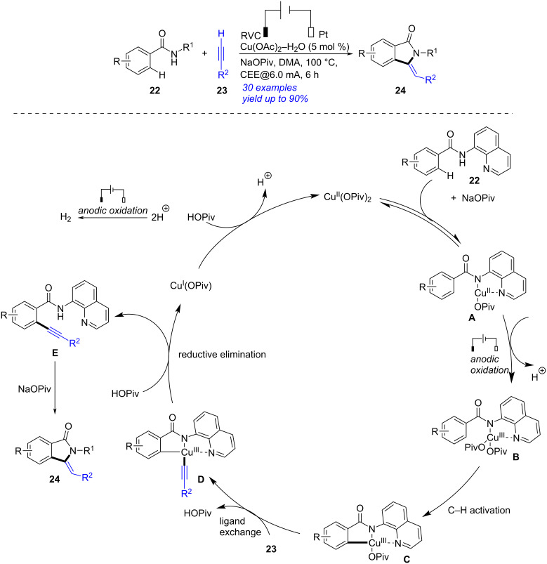Scheme 8