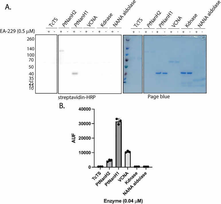Fig. 4