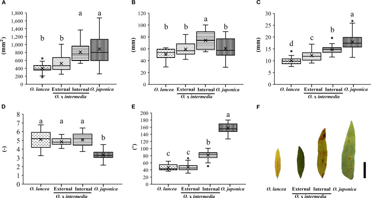 Figure 3