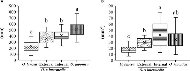 Figure 5