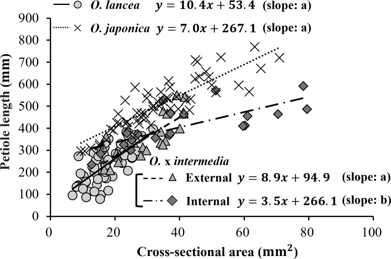 Figure 6