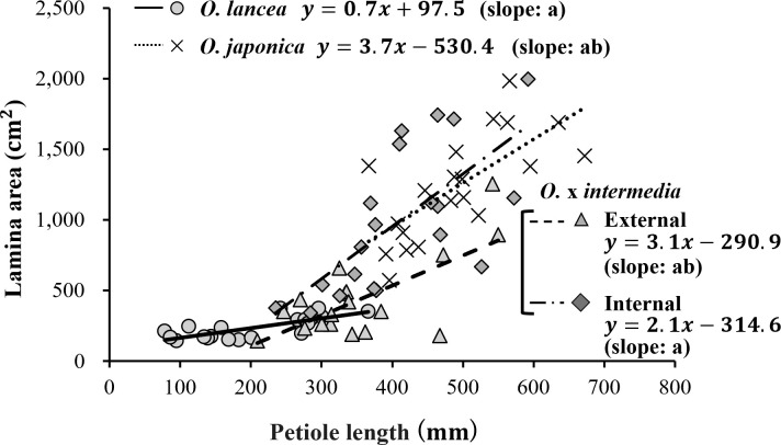 Figure 7